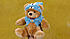Click image for larger version

Name:	teddybear-talkingteddy.jpg
Views:	215
Size:	72.4 KB
ID:	191597